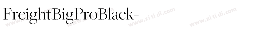 FreightBigProBlack字体转换
