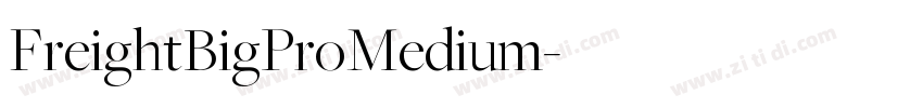 FreightBigProMedium字体转换