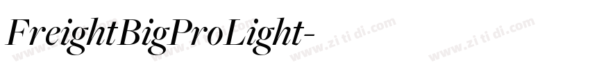 FreightBigProLight字体转换