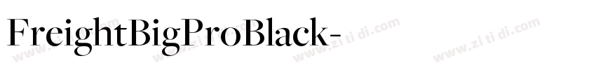 FreightBigProBlack字体转换