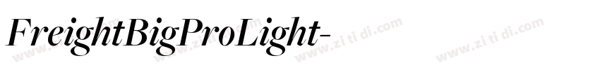 FreightBigProLight字体转换