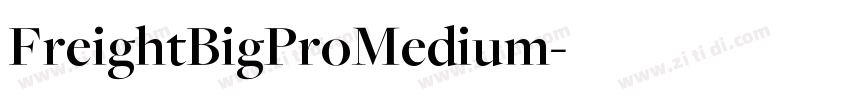 FreightBigProMedium字体转换