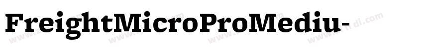 FreightMicroProMediu字体转换 FreightMicroProMediu字体转换