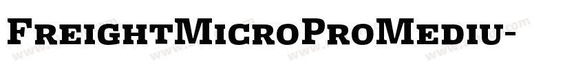 FreightMicroProMediu字体转换 FreightMicroProMediu字体转换