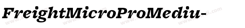 FreightMicroProMediu字体转换 FreightMicroProMediu字体转换