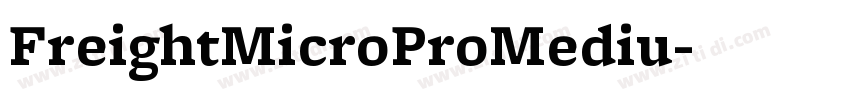 FreightMicroProMediu字体转换 FreightMicroProMediu字体转换