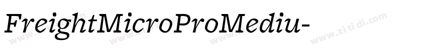 FreightMicroProMediu字体转换 FreightMicroProMediu字体转换