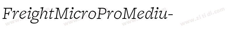 FreightMicroProMediu字体转换 FreightMicroProMediu字体转换