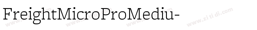 FreightMicroProMediu字体转换 FreightMicroProMediu字体转换