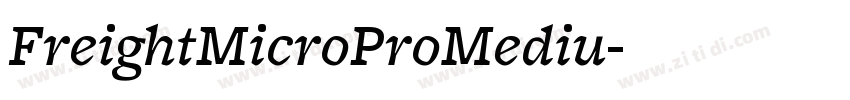 FreightMicroProMediu字体转换 FreightMicroProMediu字体转换