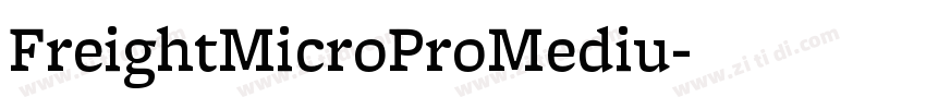 FreightMicroProMediu字体转换 FreightMicroProMediu字体转换