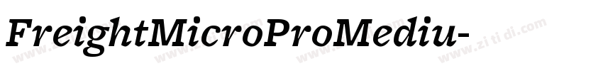 FreightMicroProMediu字体转换 FreightMicroProMediu字体转换