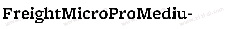 FreightMicroProMediu字体转换 FreightMicroProMediu字体转换