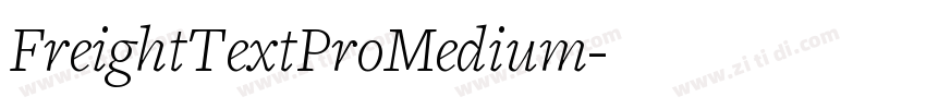 FreightTextProMedium字体转换