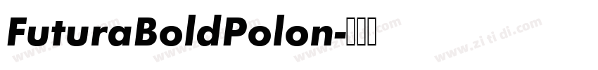 FuturaBoldPolon字体转换