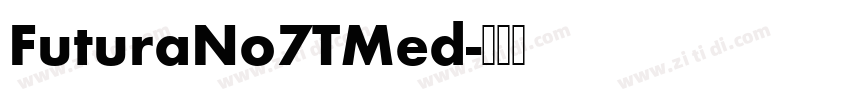 FuturaNo7TMed字体转换