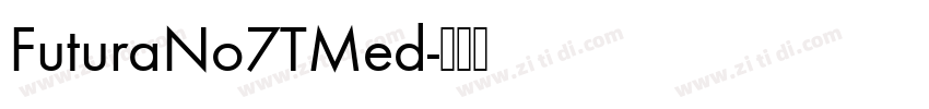 FuturaNo7TMed字体转换