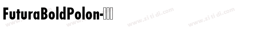 FuturaBoldPolon字体转换