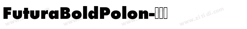 FuturaBoldPolon字体转换