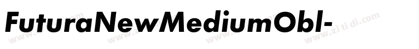 FuturaNewMediumObl字体转换