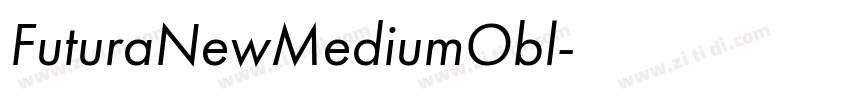 FuturaNewMediumObl字体转换