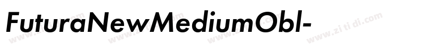 FuturaNewMediumObl字体转换