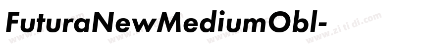 FuturaNewMediumObl字体转换