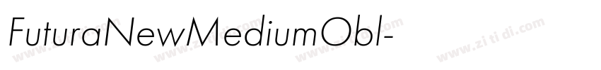 FuturaNewMediumObl字体转换