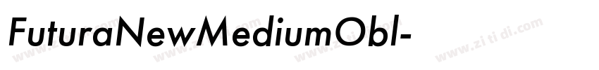 FuturaNewMediumObl字体转换