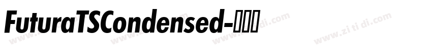 FuturaTSCondensed字体转换