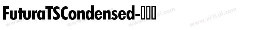 FuturaTSCondensed字体转换