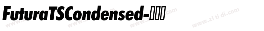 FuturaTSCondensed字体转换