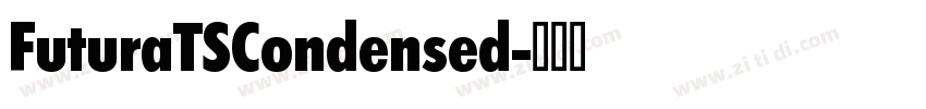 FuturaTSCondensed字体转换