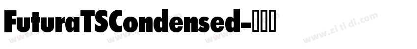 FuturaTSCondensed字体转换