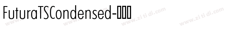 FuturaTSCondensed字体转换