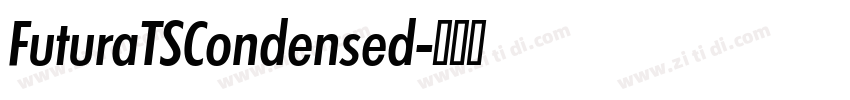 FuturaTSCondensed字体转换