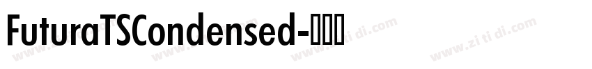 FuturaTSCondensed字体转换
