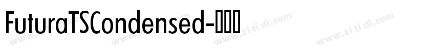 FuturaTSCondensed字体转换