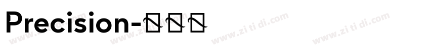 Precision字体转换