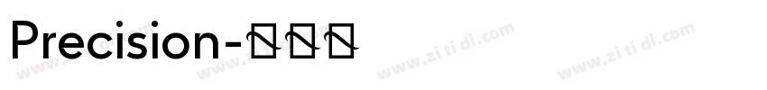 Precision字体转换