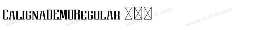 CalignaDEMORegular字体转换