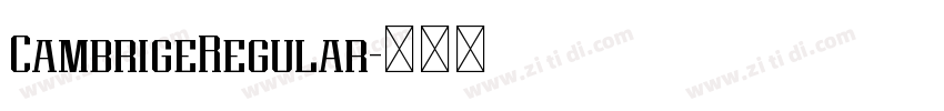 CambrigeRegular字体转换