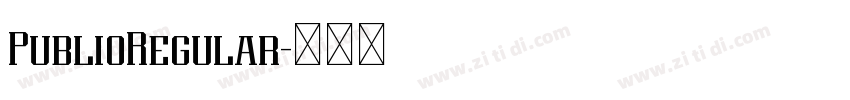 PublioRegular字体转换