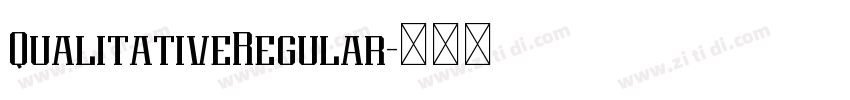 QualitativeRegular字体转换 QualitativeRegular字体转换