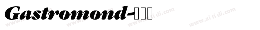 Gastromond字体转换