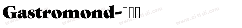 Gastromond字体转换