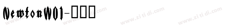 NewtonW01字体转换