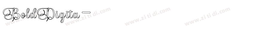 BoldDigita字体转换 BoldDigita字体转换
