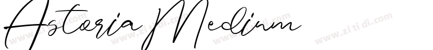 AstoriaMedium字体转换