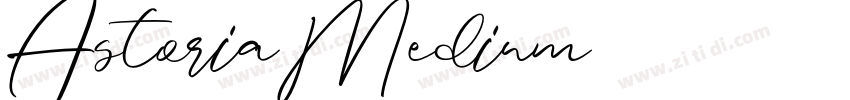 AstoriaMedium字体转换